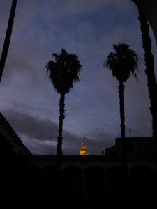 night-view-cathedral