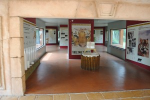 Transition from stone slabs to red coloured concrete