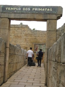 Large stone slabs laid in concrete with wide grouting